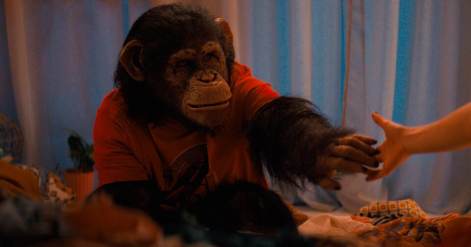 When Is Primate’s Digital & Streaming Release Date? - NewsBreak