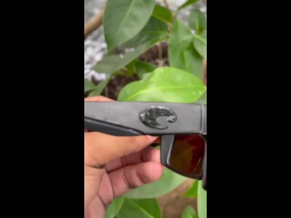Polarized Sunglasses Reveal Lurking Reptile – NewsBreak