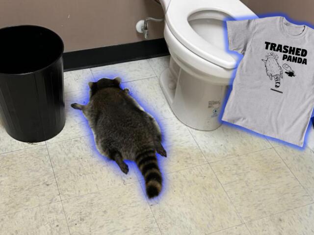 Hanover shelter selling 'Trashed Panda' shirts featuring drunk raccoon ...