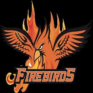 Firebirds, Griffins top District 3 All District team