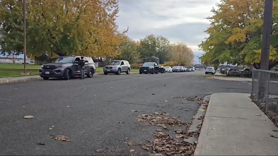 Convicted felon arrested after allegedly pointing gun at stranger in ...