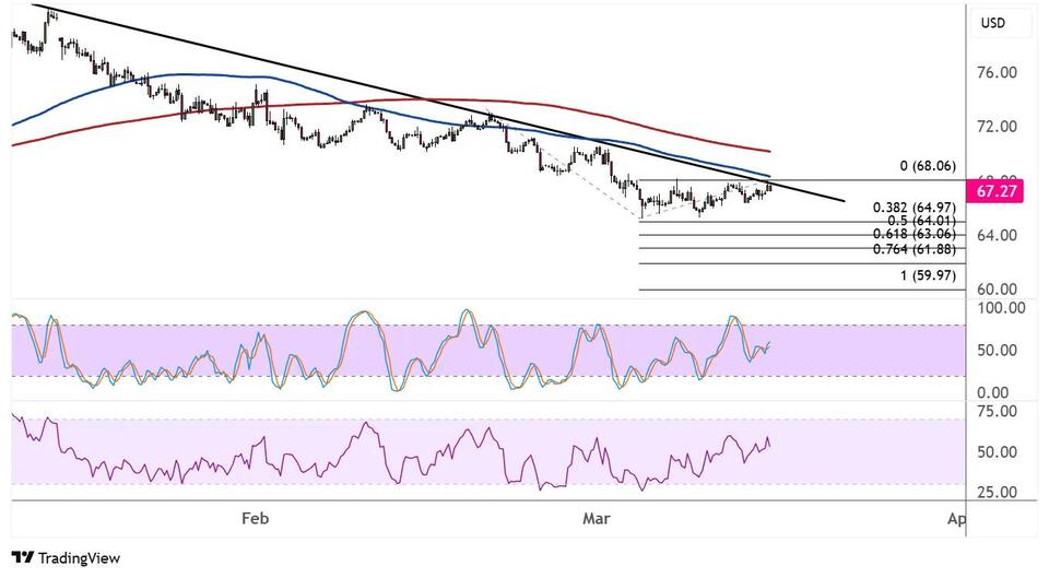WTI Crude Oil Price Analysis for March 17, 2025 - NewsBreak