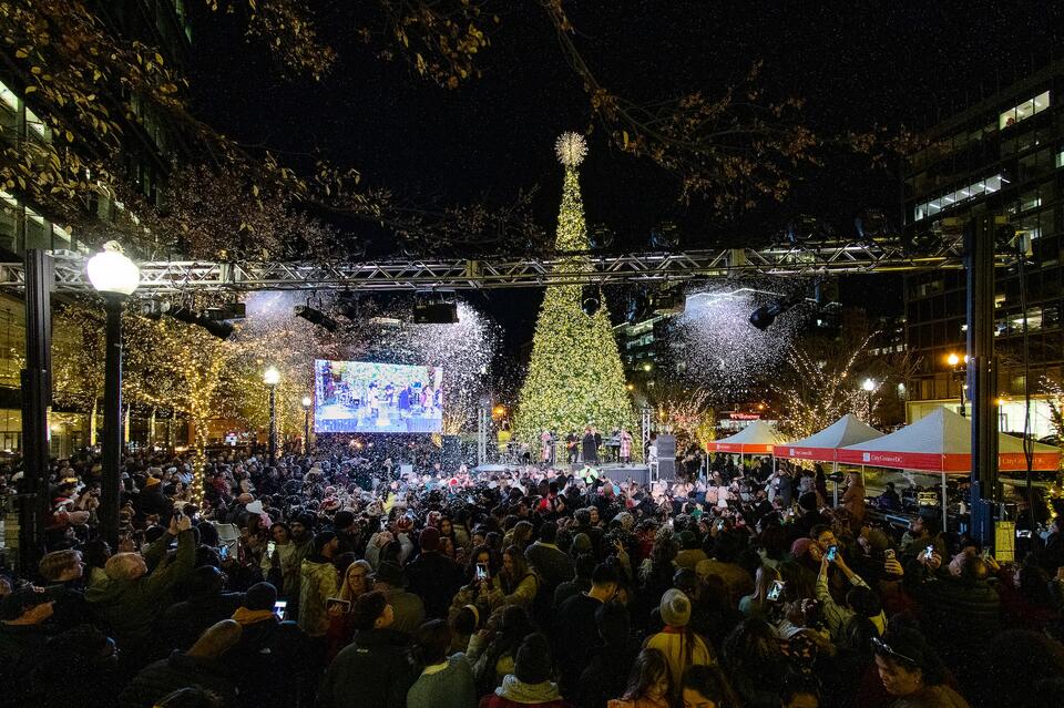 The 12 Best Holiday Lights Displays in DC - NewsBreak