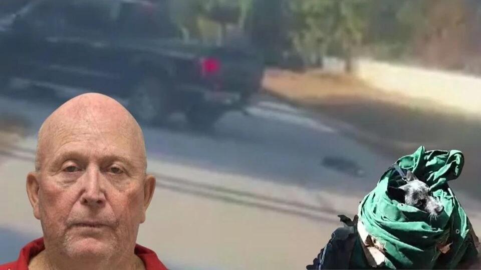 WATCH: Video shows dog dragged behind pickup truck, owner arrested ...