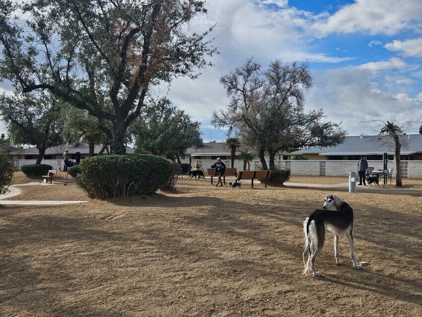 RCSC, members agree on Sun City dog park NewsBreak