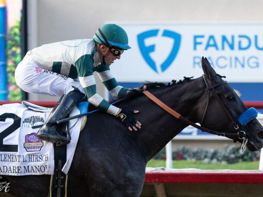 Del Mar Picks Pacific Classic Stakes 2024