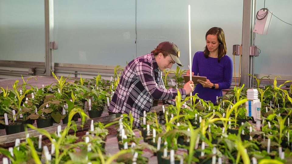 UK Food as Health Alliance opens $50,000 in pilot funding to tackle food and health challenges