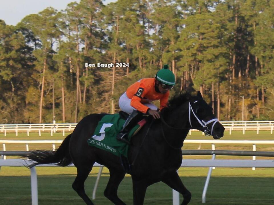 Tampa Bay Derby Can Anyone Beat No More Time?