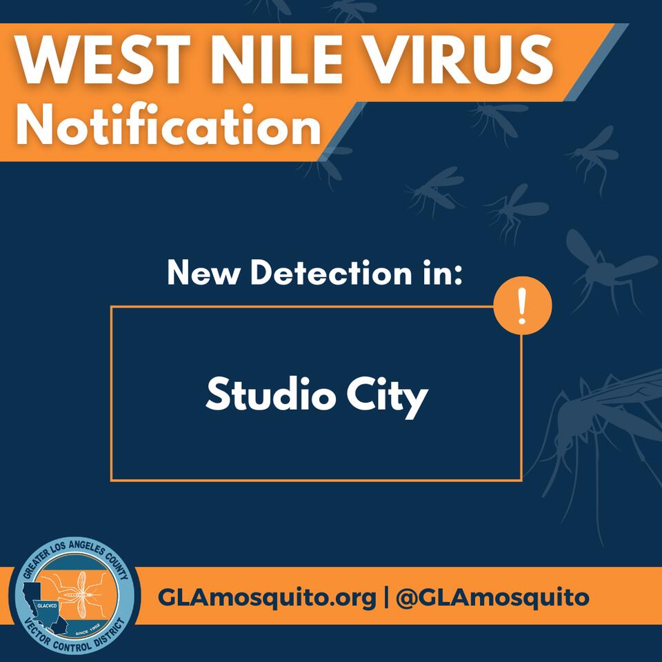 West Nile Virus found in Studio City mosquitoes - NewsBreak