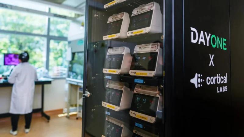 Singapore launches data center powered by living human neurons - NewsBreak