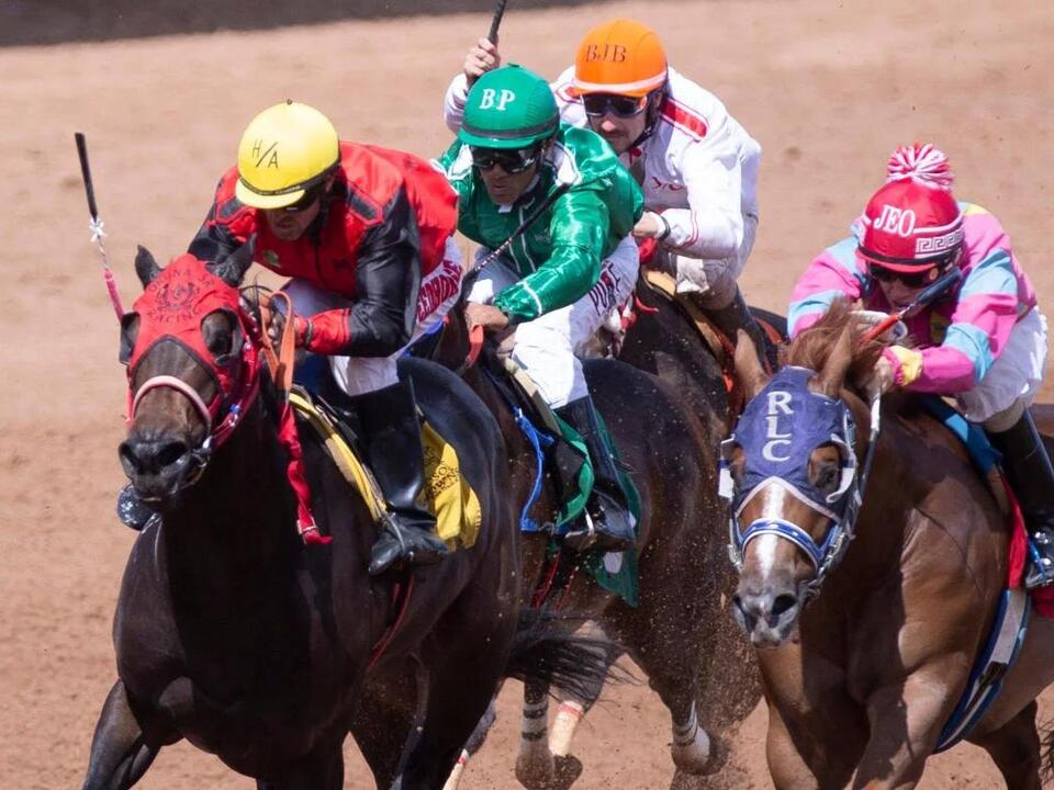 2024 Preakness Stakes predictions, horses, contenders, odds Expert who