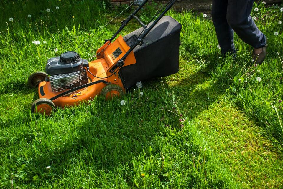 13 Common Mistakes to Avoid When Mowing Your Lawn - NewsBreak