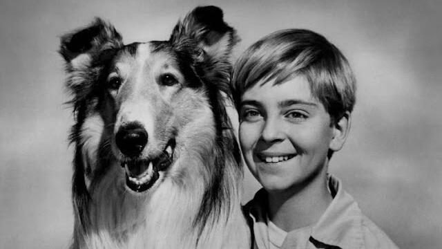 Tommy Rettig: The Tragic Life and Death of the Former Child Star of TV ...
