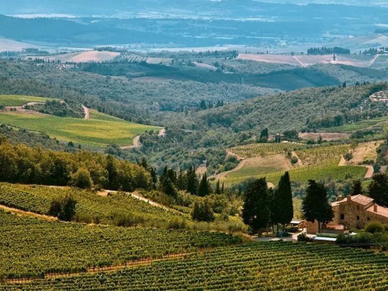 Voters Overwhelmingly OK Departures of Fallbrook, Rainbow Water