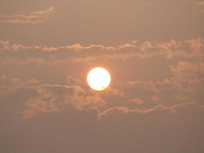 Okmulgee Daily Weather Forecast