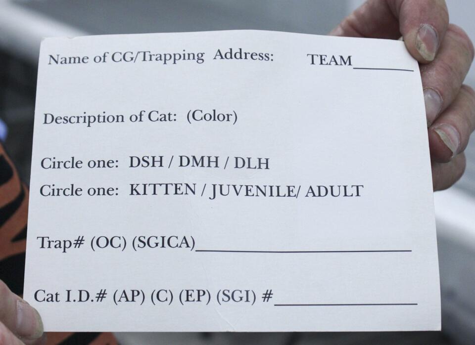 Cat allies plans mass castration event