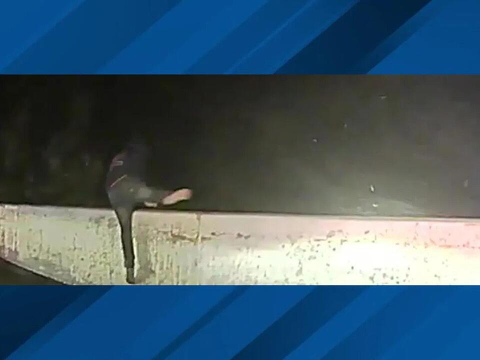 Water rescue following stolen vehicle pursuit caught on camera
