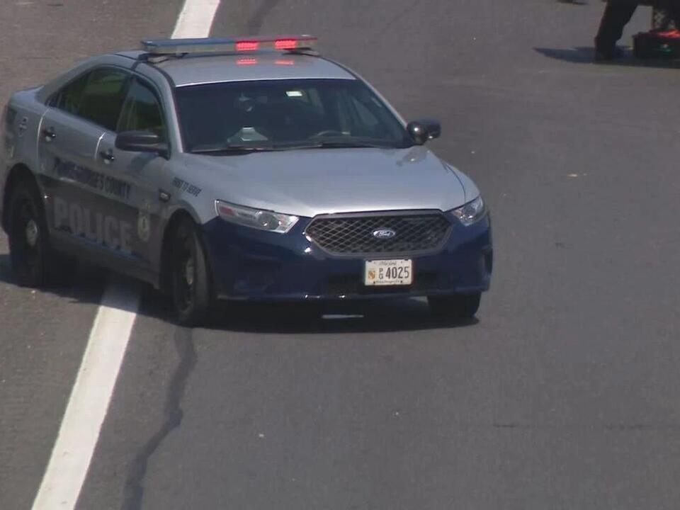 AMBER Alert suspect accused of abducting kids, killing 1 in Md. crash