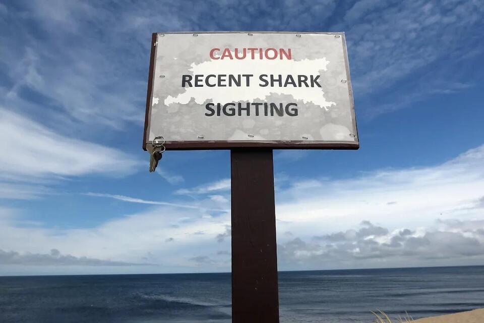 3 People Injured in 2 Different Shark Attacks Off Neighboring Florida ... - Gator Shark Attacks Near Me