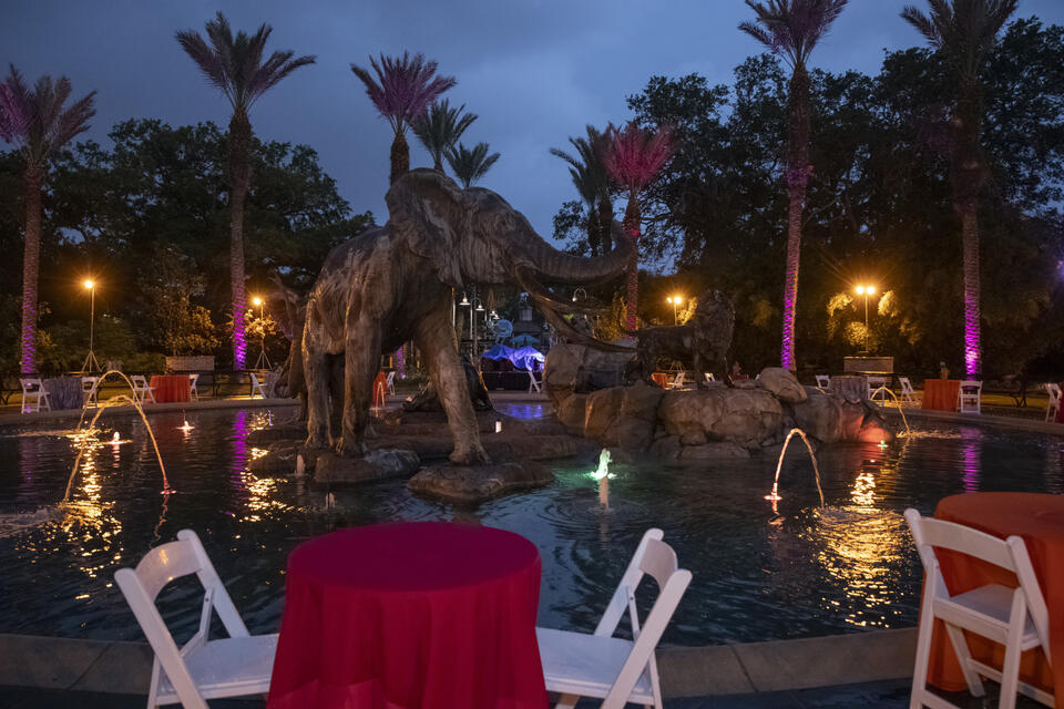 Audubon's Zoo-to-Do Events to Celebrate Carousel Return - NewsBreak