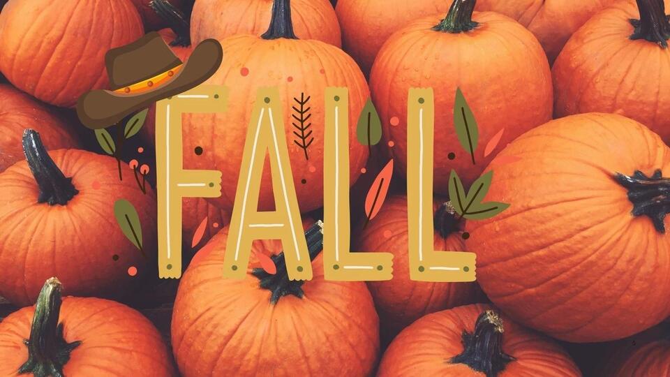 From Football to Festivals: Why Fall in Texas Hits Different - NewsBreak