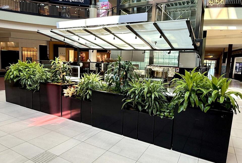 Maybe Dulles Town Center Starbucks really is gone for good - NewsBreak