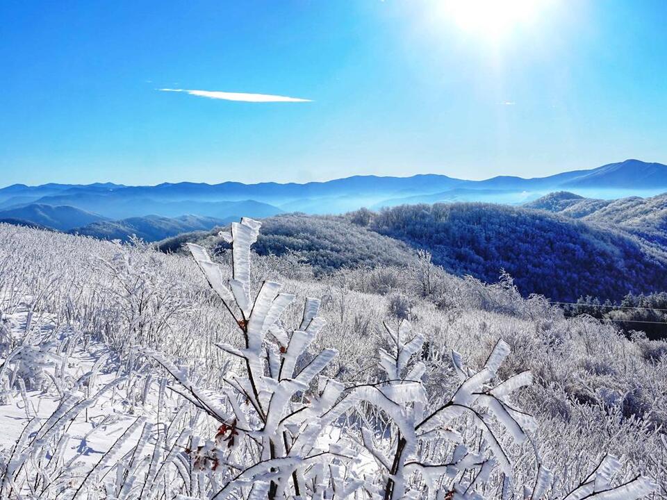 Does It Snow in North Carolina? See Snowiest Places, Timing, and