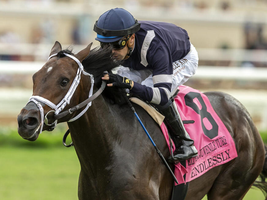 El Camino Real Derby 2024 Golden Gate Fields Replay [Preakness Stakes]