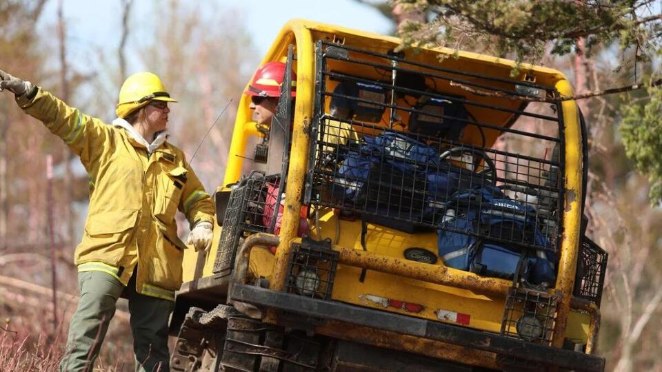Tree falling on powerline caused the Stewart Trail Fire - NewsBreak