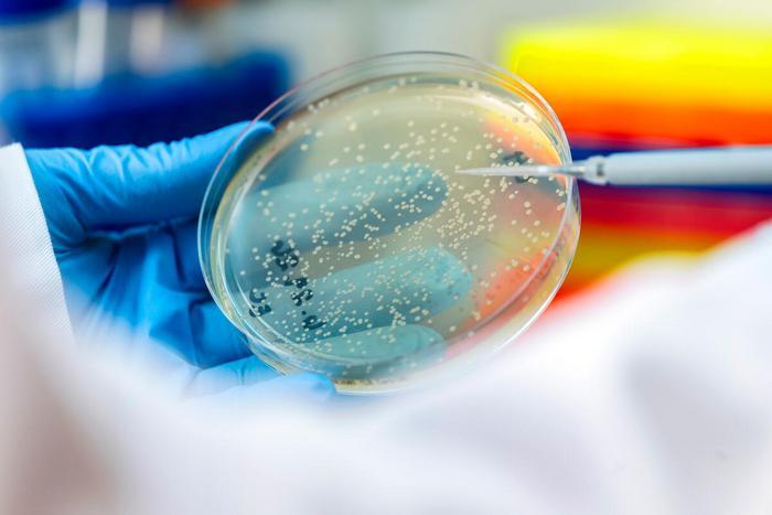MSK research highlights, October 22, 2026 - NewsBreak