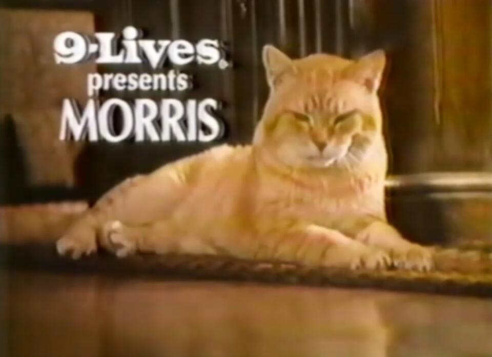 70s Commercials: 9-Lives’ Morris, Amex, Radio Shack Stereo, Spray’n Wash (1979)