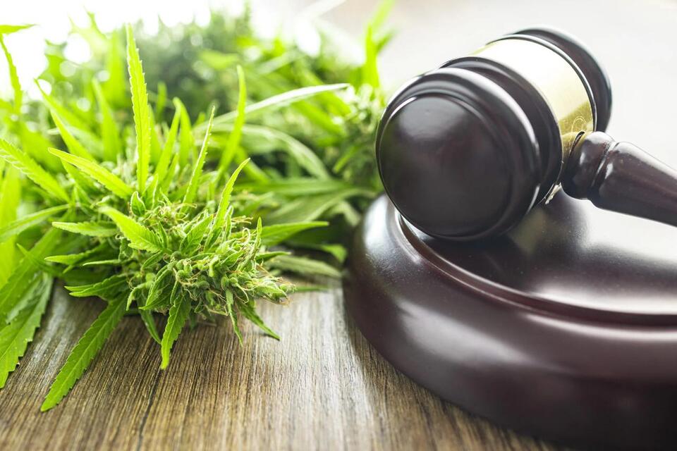 Federal Judge Dismisses Marijuana Patent Infringement Lawsuit Against ...