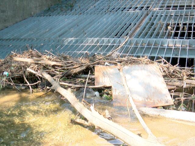 West Allis flooding victims question why homes were built over Honey Creek