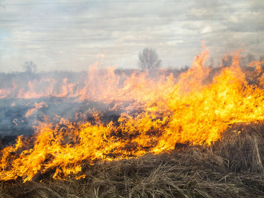 Evacuations Ordered as Colorado Wildfire Spreads by Windy Conditions