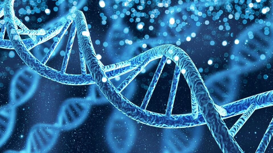 Initial Data Shows Safety for WEE1/PKMYT1 Inhibitor Combination in ...