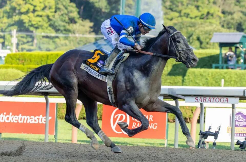Breeders’ Cup Classic 2026 Contenders