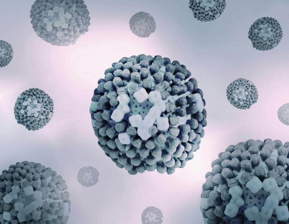 Winter Virus Activity Growing Fast Across New Jersey - NewsBreak
