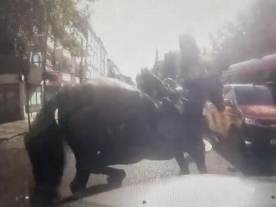 Runaway military horse crashes into car as animals loose again in London