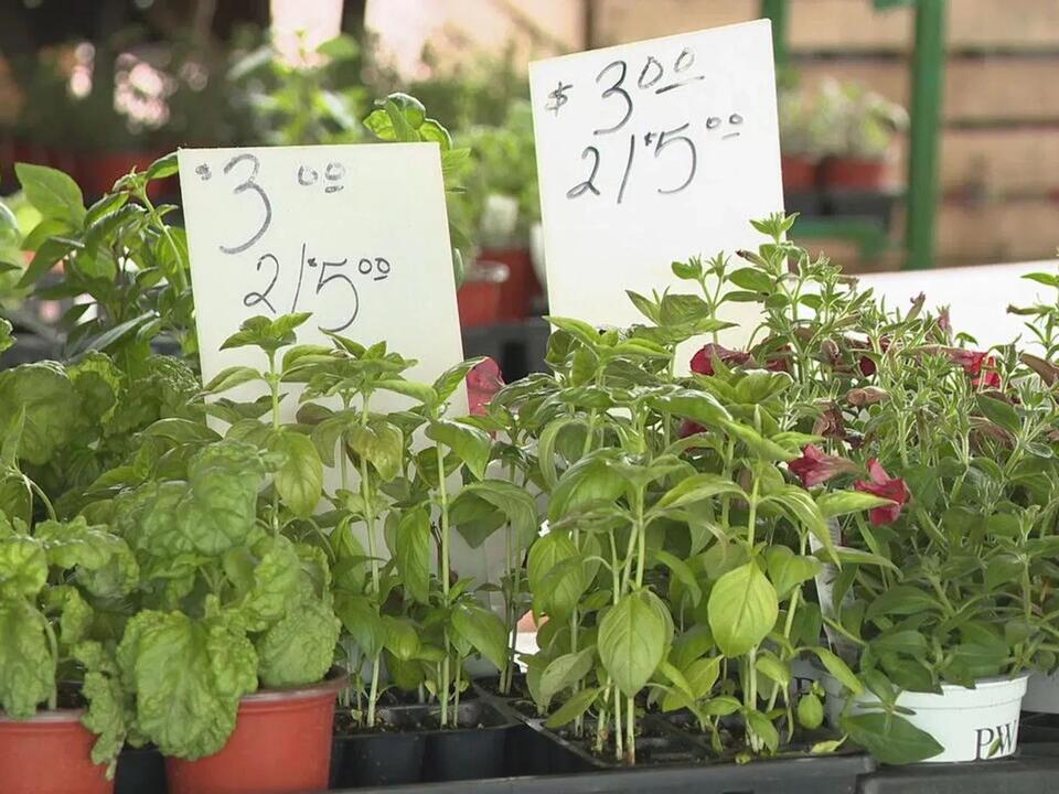 Flower City Days at the Market returns with gardening essentials and advice