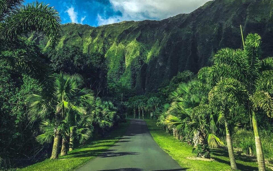 Oʻahu's Free Hoʻomaluhia Botanical Garden May Not Stay Free