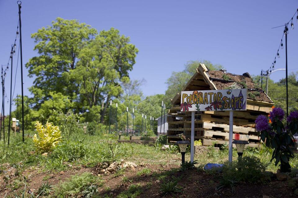 Cultivation and connection: UT’s Grow Lab sows opportunities - NewsBreak