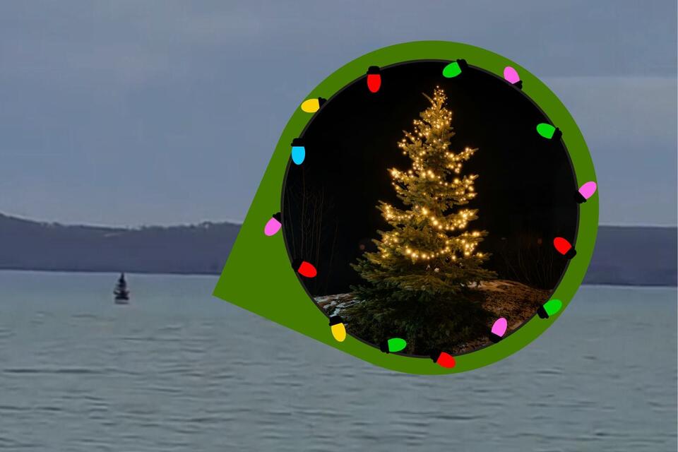 How a Floating Christmas Tree Became a Michigan Holiday Tradition ...