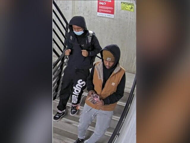 DPD asks for public’s help to identify suspects in recent vehicle break-ins