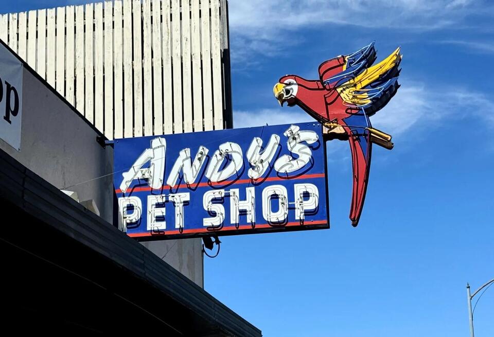 Andy's Pet Shop — and its iconic sign — ready for a rebirth in San Jose