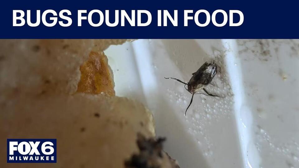 Oconomowoc Chinese restaurant voluntarily closes, bugs in food - NewsBreak