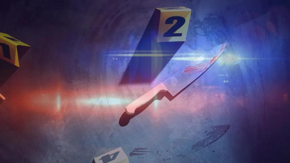 Brother accused of stabbing sibling in neck