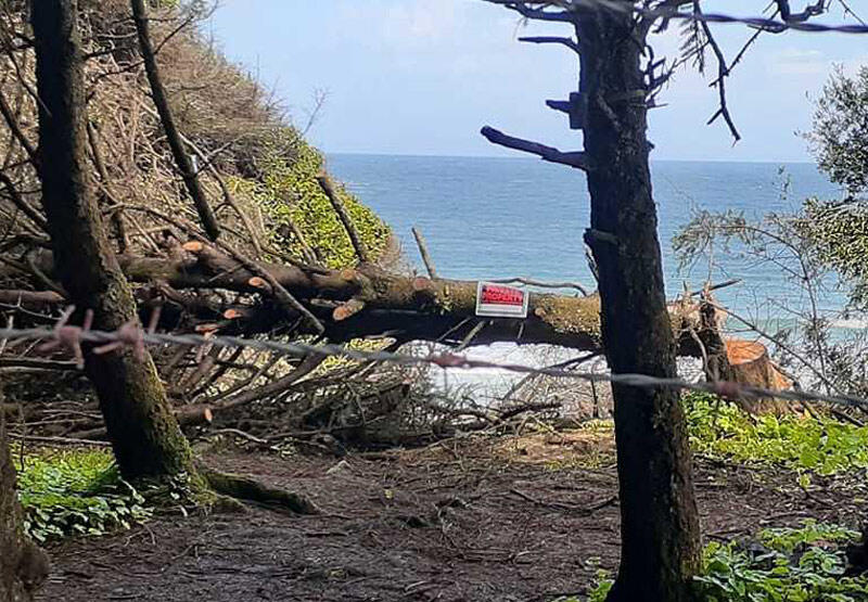 S. Oregon Coast's Lighthouse Beach Access Deal Officially Finalized ...