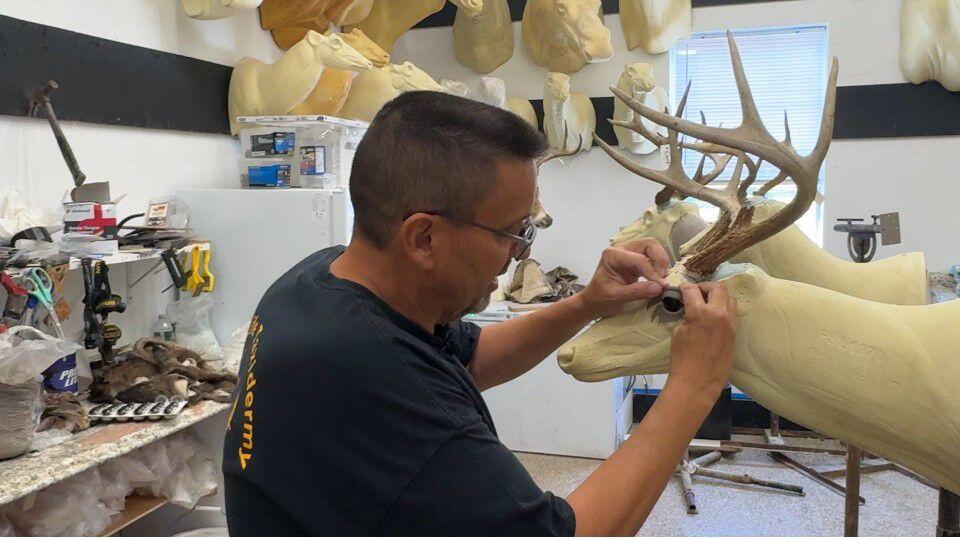 State DEC working with hunters to control deer populations in parts of