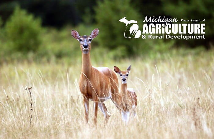 Chronic Wasting Disease Confirmed in Farmed Cervid in Hillsdale County ...