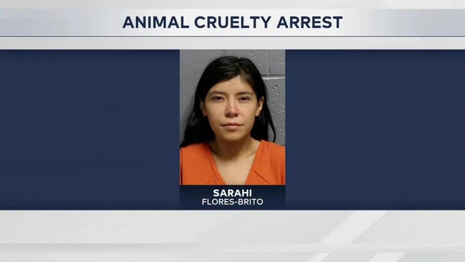 Del City woman arrested on complaints of animal cruelty - NewsBreak